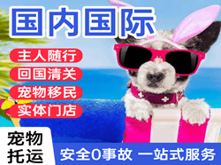 营口兰旗空运国际宠物托运 【国